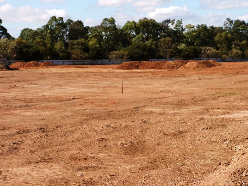 Site Grading Service