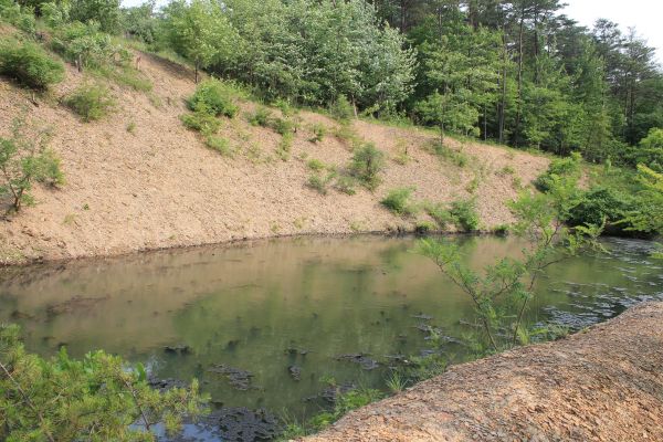 Pond Erosion Repair in Cape Girardeau